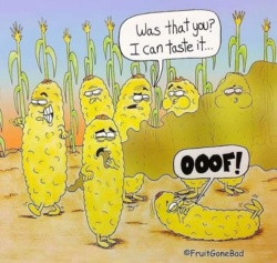 1f6aac61-a0a8-401b-ba97-50031ca9e8ad