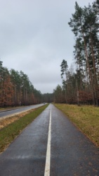 7f438fd7-263d-4d39-a3e0-9ca6c5ce5703