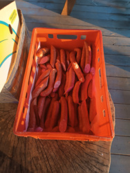 7678a47d-7b75-4d21-ae8e-9a9ca79c2823