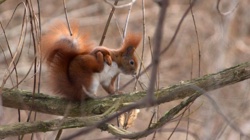 40942cf2-2851-4ecc-82cb-313b42044667