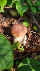 fdd9abcf-e9cc-44f5-bc18-3ba109812f9b