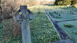 f72ea402-e234-4bcd-8e31-e0472ae82646