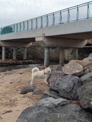 c54ab979-93a6-4be7-a275-25cd88607880