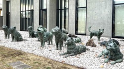 856c84d2-1b98-447c-aef5-c7deb4064463