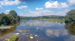 95289dda-332c-4e55-8abf-062ac7c863a1