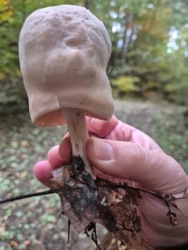 dcd2cdee-ac43-45ba-bdaa-39f64e528065