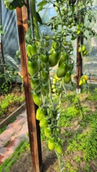 8fc9f315-7aa0-45ce-b82b-ea2c97170cc4