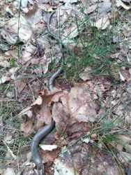 7ee233c9-5a01-46b2-b1a7-501598087964