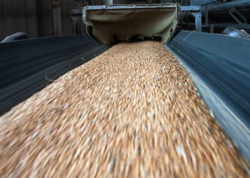 cdfae3d1-a7a0-49d4-9aa1-708c517ca4e5