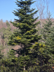 8413aed4-3b15-47dd-b5f4-dbb21e3ed227