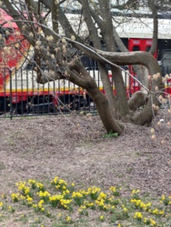 680ba19a-ff5a-4444-ab9c-fa33140ae28a