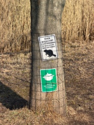 c97c93b4-2c34-4643-a139-6b127665b9f9