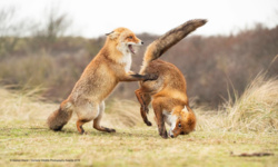 7ccb705f-b218-4d55-ba7a-40269009db8f