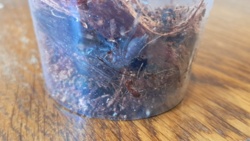 ef9a1421-cce4-4d45-be1b-fce00aa28e80