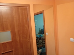 618de02d-e4e7-49d5-9106-fd55ed56ec4c