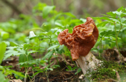 6d4dda9e-46f1-4d35-b18c-19d75c3c71c8