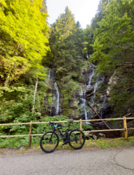 17c9218a-ec4b-4c01-a92e-2b4fa28c45ce