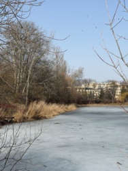 5b98d408-7aa6-4944-8e8a-7ccd977fe14b