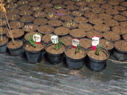 9aa00abe-71e0-40a5-bf57-c8651fd5b1fa