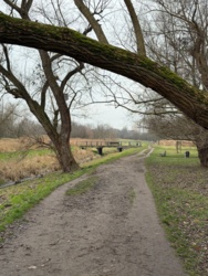 3f1d3ce1-4046-4a1e-8a6a-fe58b8523efe