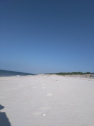 84c03483-de44-45c7-aca8-afd4f347b9bd