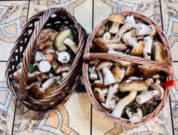 85f635b3-0cdd-44dd-be3d-7ba24e73e9f0