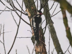 1cb4bd32-8141-4c13-b0bb-15a9207f801f