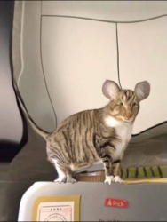 89833399-1814-4243-b1a6-e73b9e035432