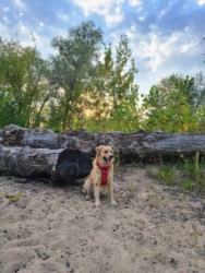 0e652df0-46cf-4445-9e99-5974d31e0e65