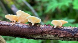 cbf36ad7-d1f2-4c8a-a19c-dfa29136f15e