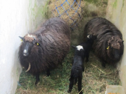 8ff54d93-ba6a-450e-a07c-5b57f2906a3f