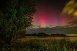 b13fc8ee-4ec8-4fe4-9964-8c4282072e23