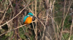 82777c99-83b4-45f4-a22d-75dfa073ddda