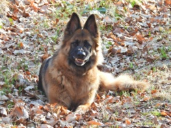 225124b8-51ed-434c-9a3a-73c8e507ead8