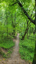 d868b8df-faba-49a6-8c04-ef23857d8765