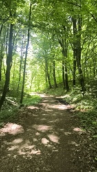 6d439297-a984-48bd-9348-21527fd96d4c