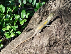 d3c440ca-a10e-4fda-b192-4c4e0e0d9e2c