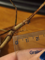 bed00694-cb79-4faa-a6de-12202df3362b