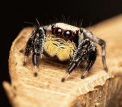 be95af8f-8213-450e-b9f1-d14fdb5028bf