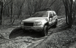 52cf9d33-f803-448d-aee8-7d9a68099ada