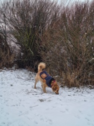 d7573817-048e-4377-835d-e2f979a59007