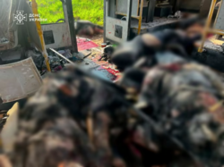 d0c65691-2fc6-4290-954c-d223b69966d5