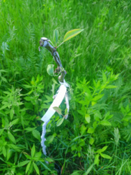 30bb9869-4c35-4ed7-b1e2-5d9ce28155e6