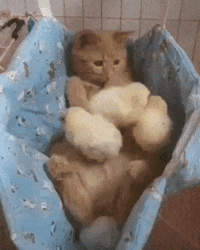 73e5e86f-34b0-490f-9149-a60563e327a0