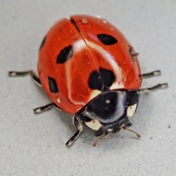 5cbb65db-615b-440c-a62d-6f22c185acfe