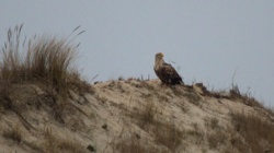 c1857ad3-3b74-4f95-b7ec-4c27dcbf63a3