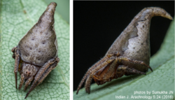 ce08aeae-7aa5-4919-ae23-5bcc3c606de1