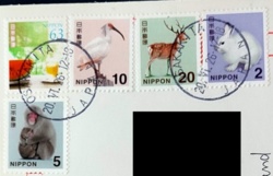 48a2f530-5d9b-438c-a468-1b7ccfeecaaa
