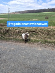 69a35a59-58ea-4f13-a72d-69673a4d4562