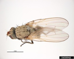 ebd59732-b88d-4526-8a8d-f4642e510ca3